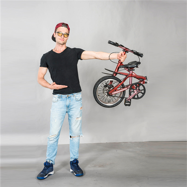 Jaunty carbon folding bike (7)