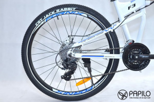 xe dap gap fornix f3 (19)