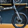 xe dap gap sava carbon 16 inch (8)
