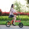 FMT 1301z magnetic folding bike