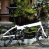Xe đạp gấp Rifle RD10