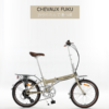 Chevaux Fuku_champagne