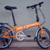 Life C300_Orange_papilo
