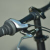 Life C300_grey_papilo (5)