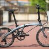 Dahon Mu D9_papilo9
