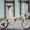 Dahon boardwalk D7