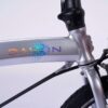 Xe_dap_gap_Dahon_MuD9_papilo (20)