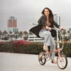 dahon d7 boardwalk
