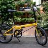 Xe_dap_gap_dahon_hit_D7_papilo